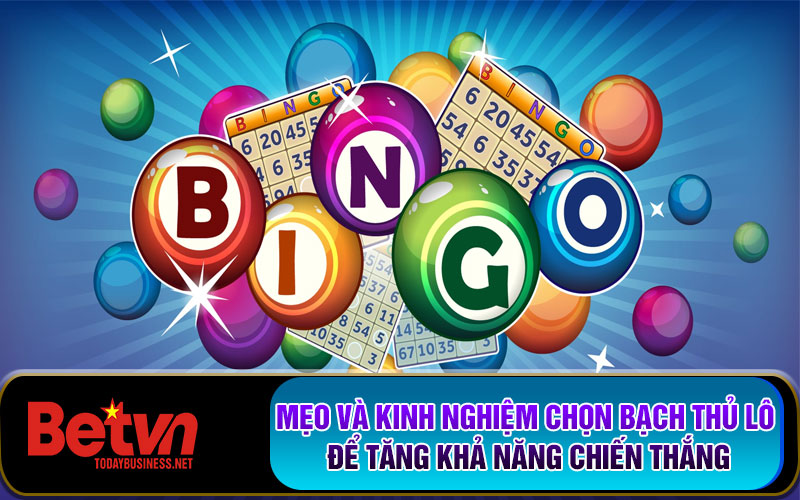 Mẹo và kinh nghiệm chọn Bạch Thủ Lô để tăng khả năng chiến thắng